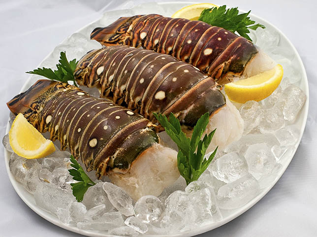 Florida Lobster Tails (1 tail) - Grimm's Stone Crab